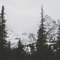 Connells Milton Keynes