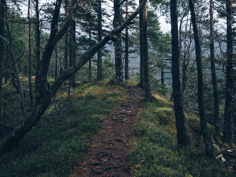 22 Church Street, Wolverton - Thumbnail 3