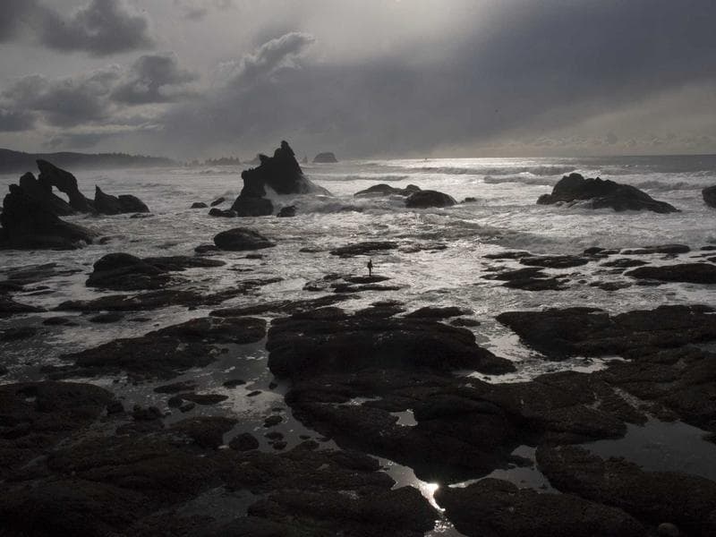 Marina Gardens, Campbell Park - Thumbnail 2