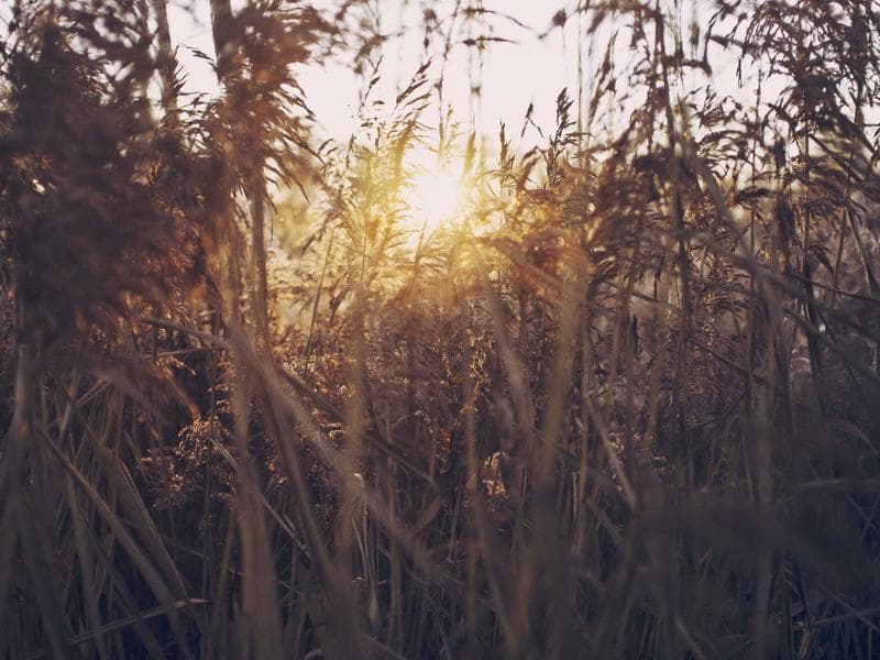 Marina Gardens, Campbell Park - Thumbnail 3